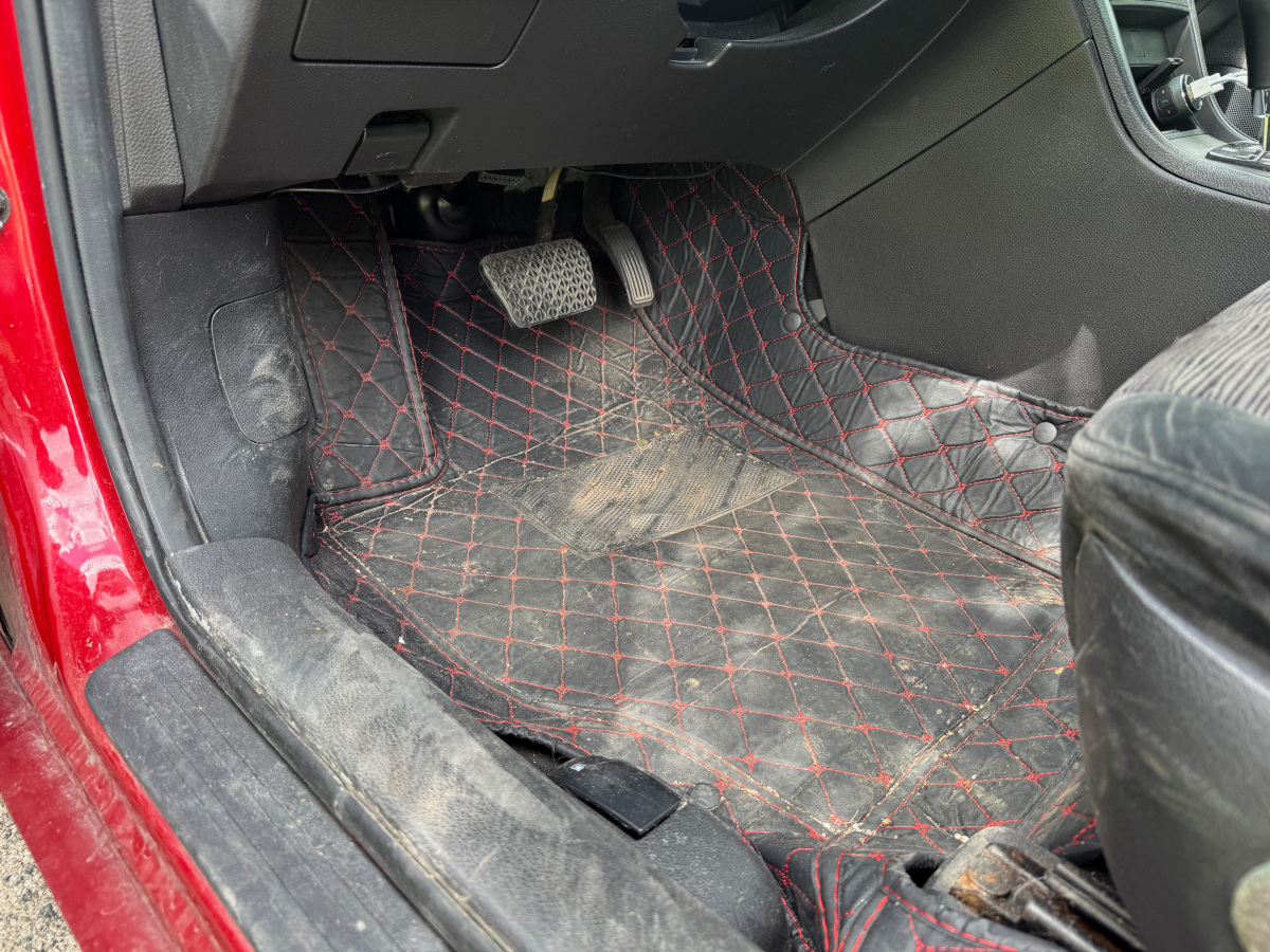 Carpet before detailing